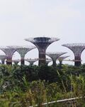 新加坡 城市 滨海 建筑 园林