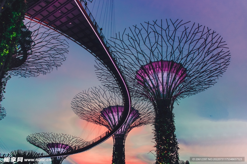 新加坡 城市 滨海 建筑 园林