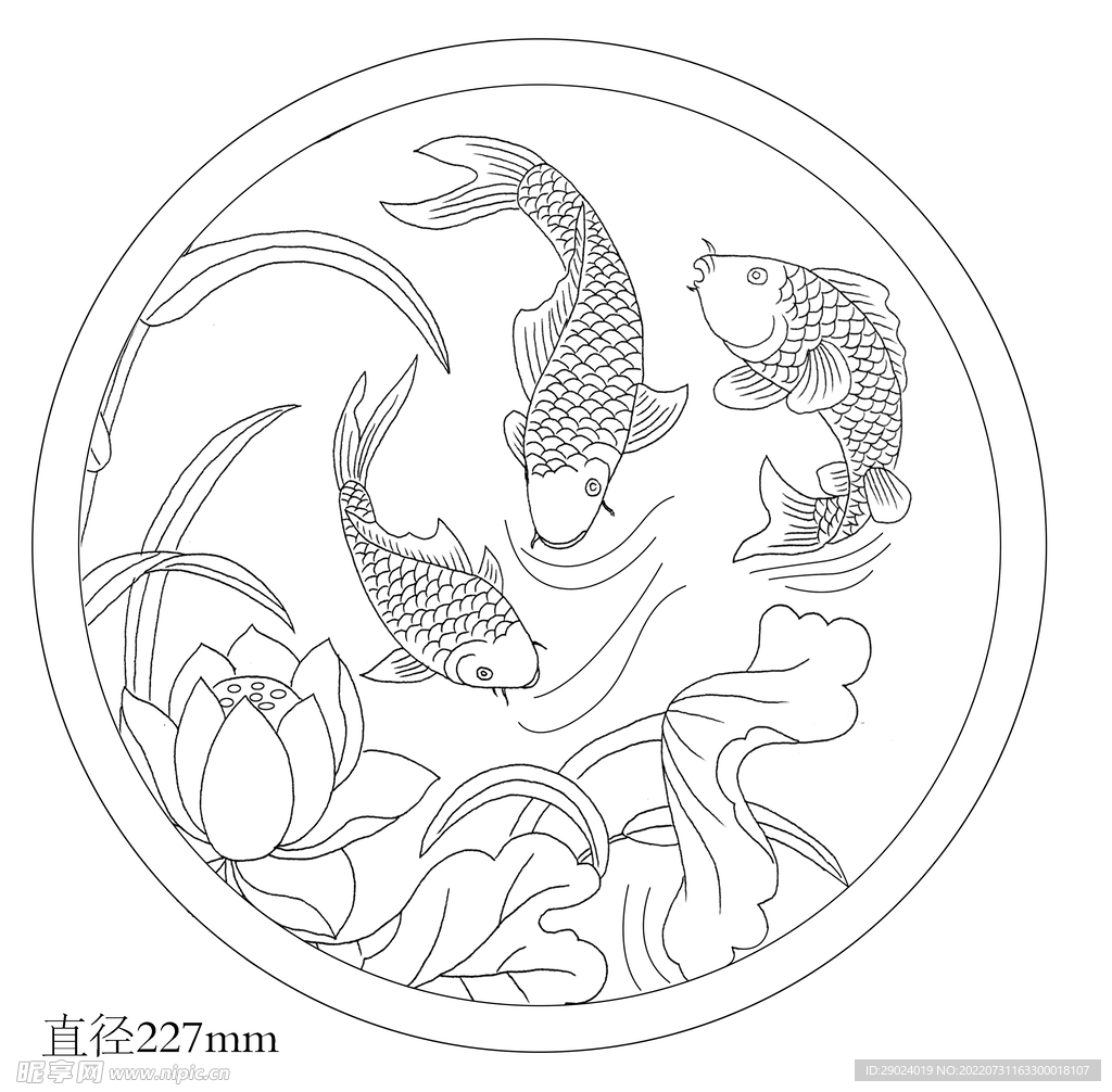 圆形鱼