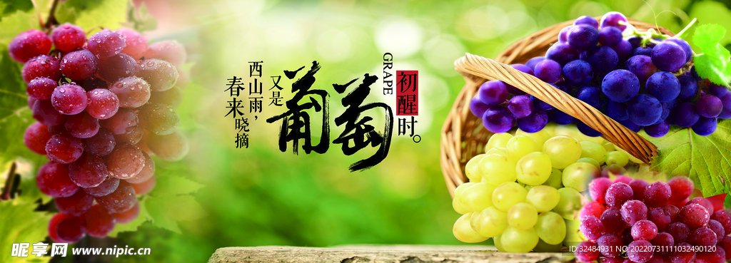 葡萄熟了