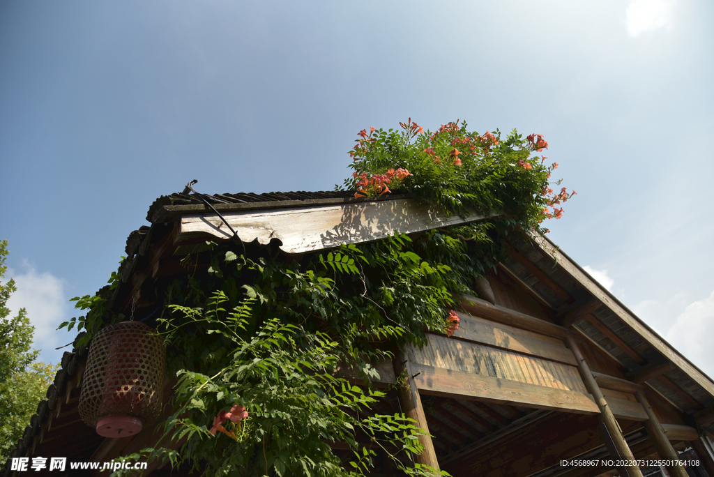 夏日南长街小景