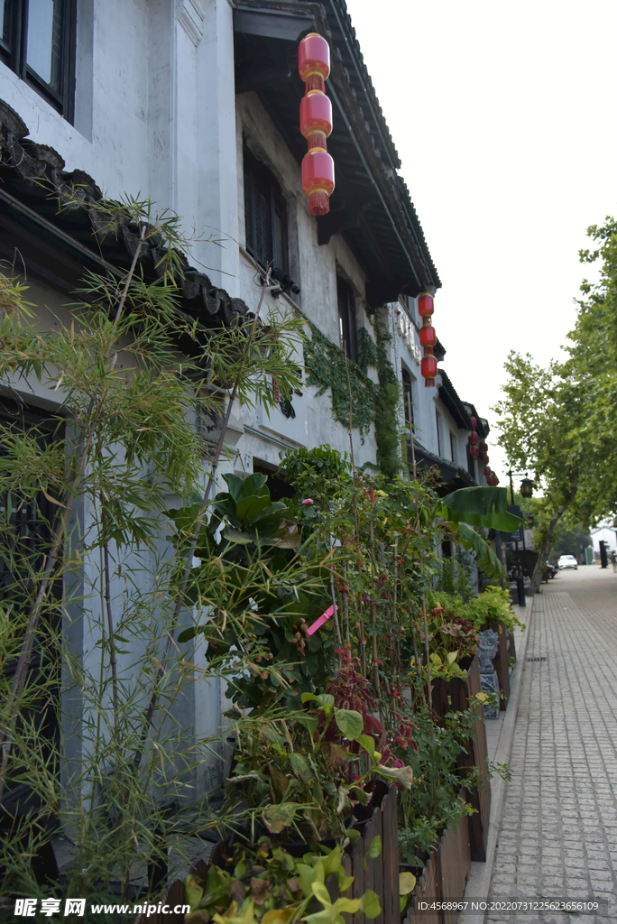 夏日南长街小景