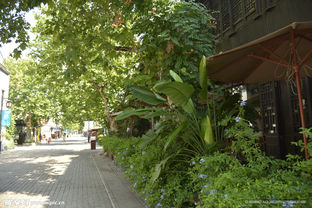 夏日南长街小景