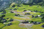 山区梯田风光