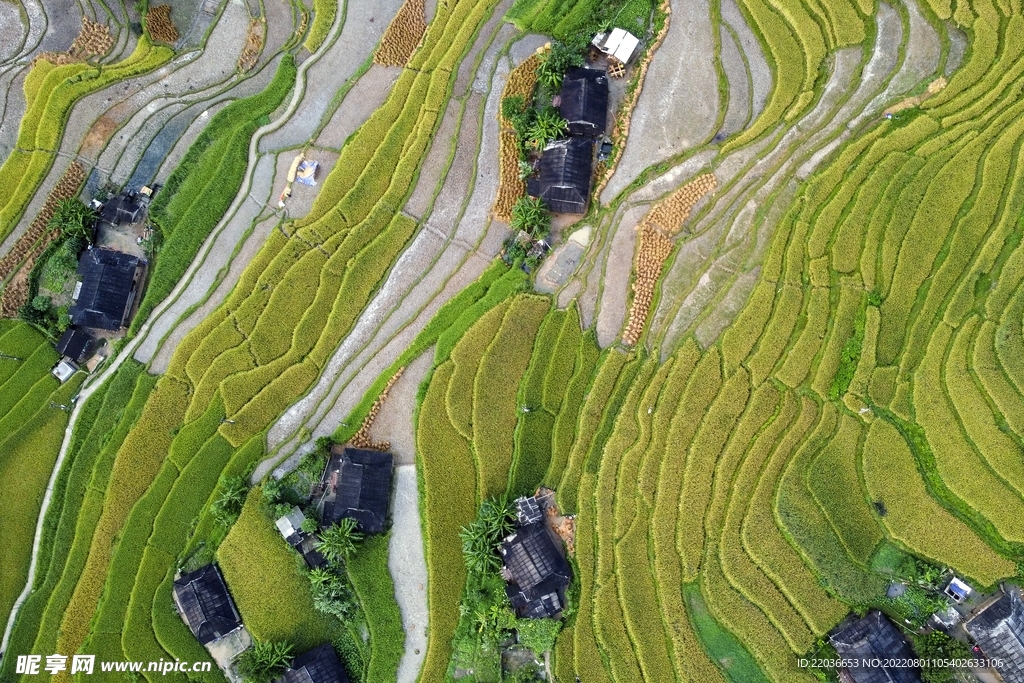 乡村梯田风光