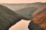 深山野林山水