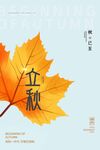立秋