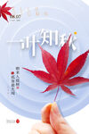 立秋海报