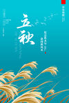 立秋海报
