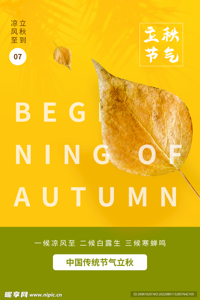 立秋海报