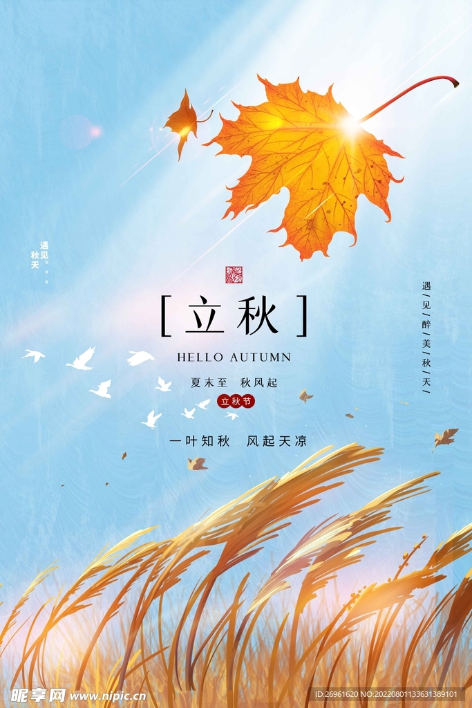 立秋海报 