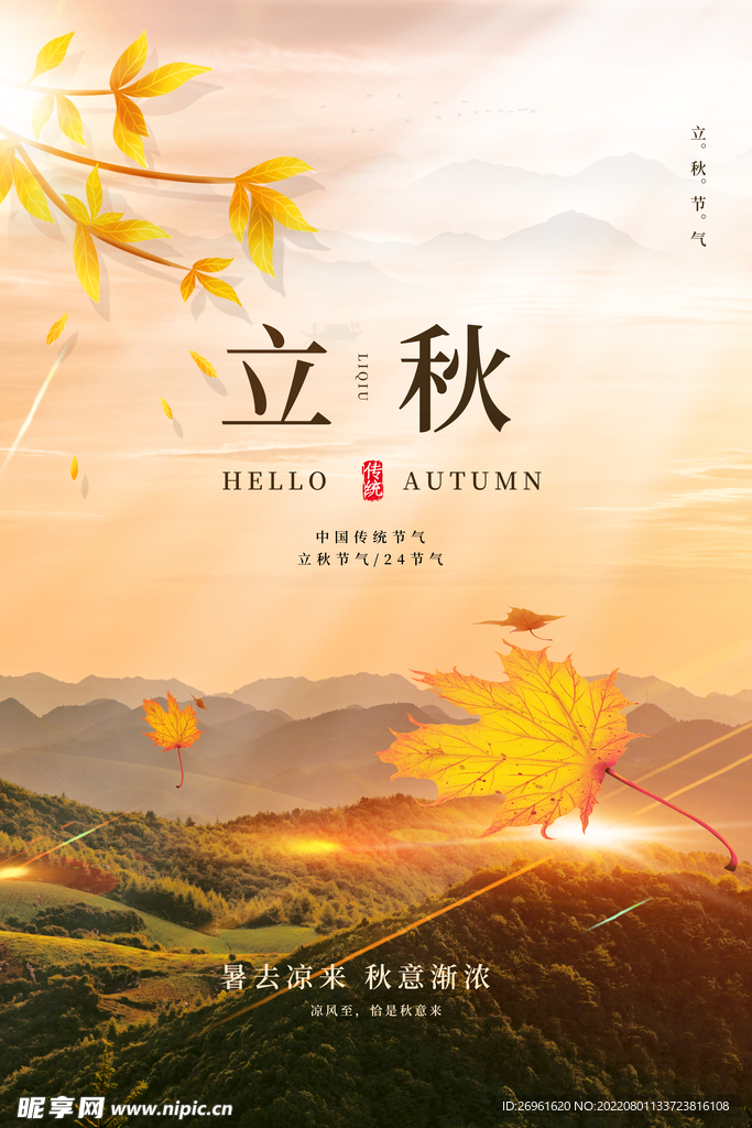 立秋海报