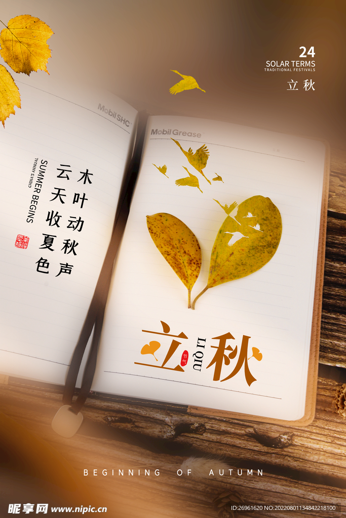 立秋海报