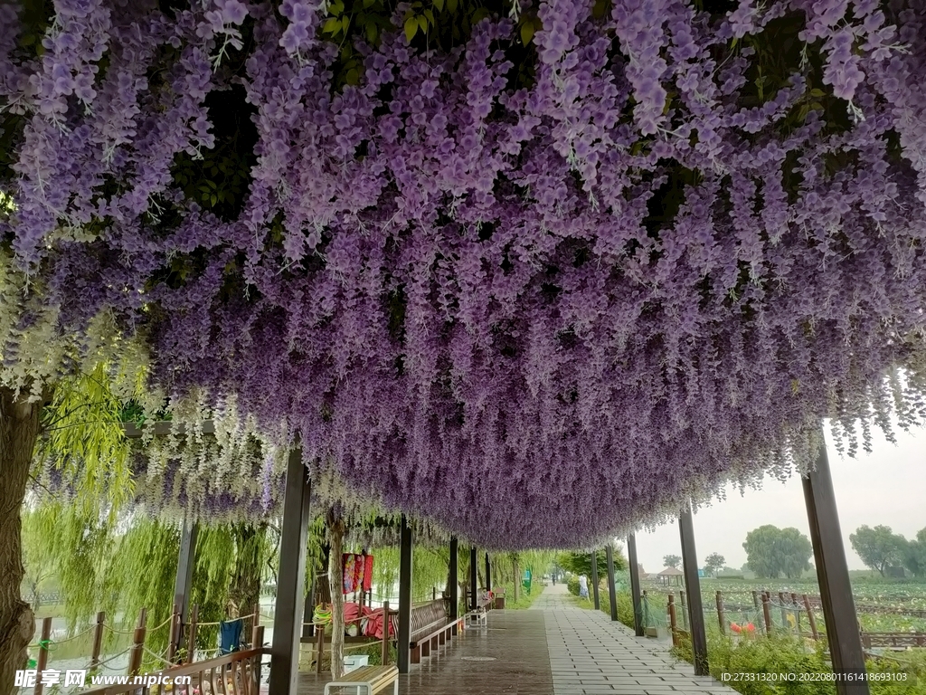 焦岗湖风景区