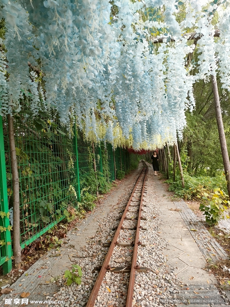 焦岗湖风景区