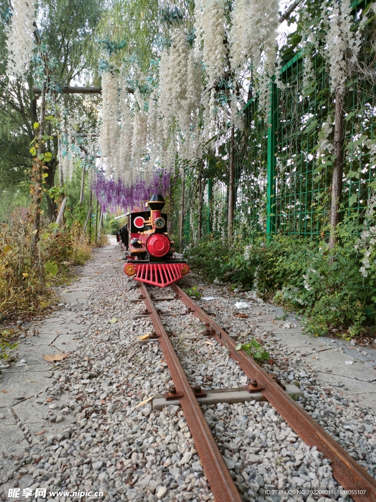 焦岗湖景区