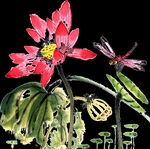 荷花