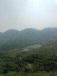 山