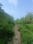 山上小路