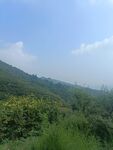 半山
