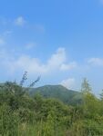 树枝天空
