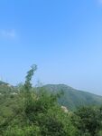 大山上的树木