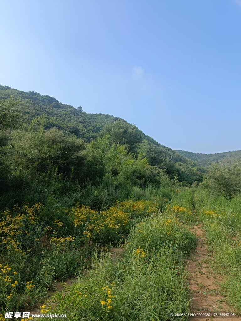 山林路