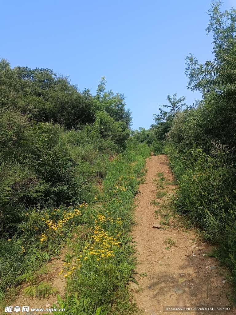 高山上的路