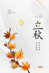 立秋海报
