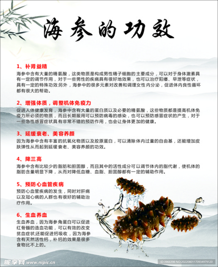 海参的功效