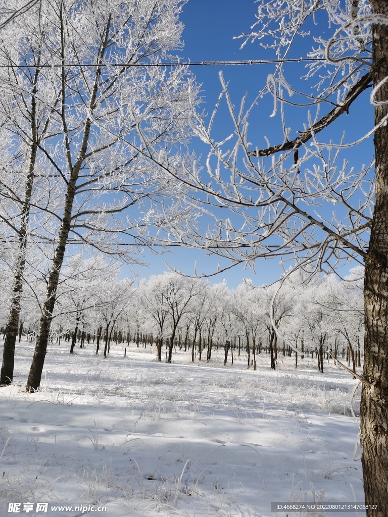 雪天