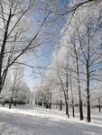 雪景