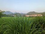 田园风光