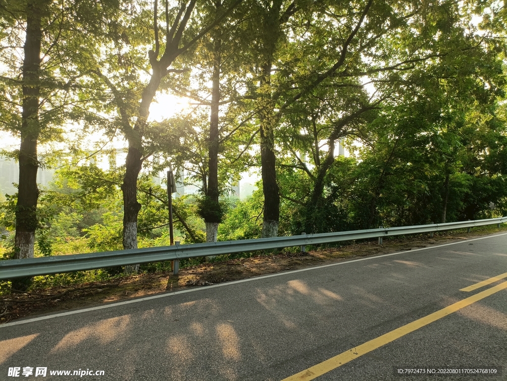 道路
