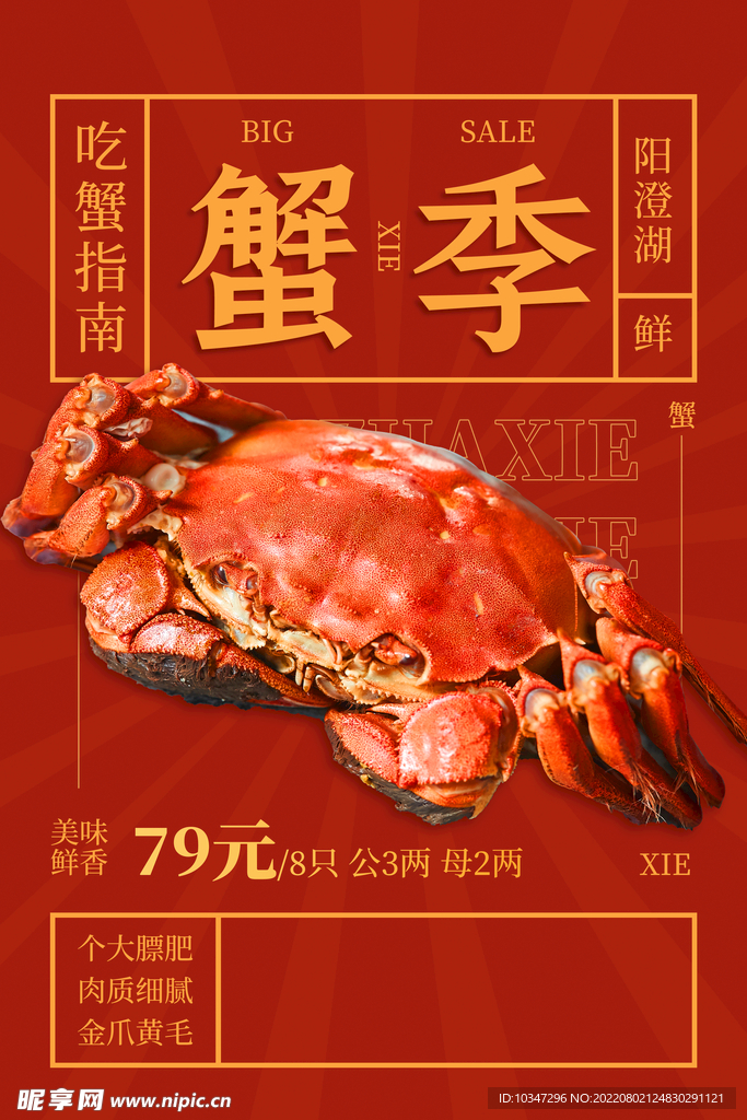 大闸蟹海报  