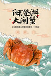 大闸蟹海报 