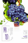 葡萄  