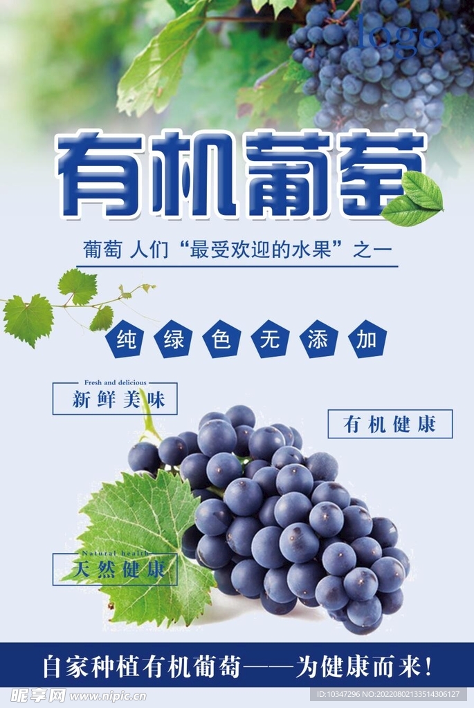 葡萄 
