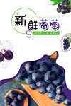 葡萄  
