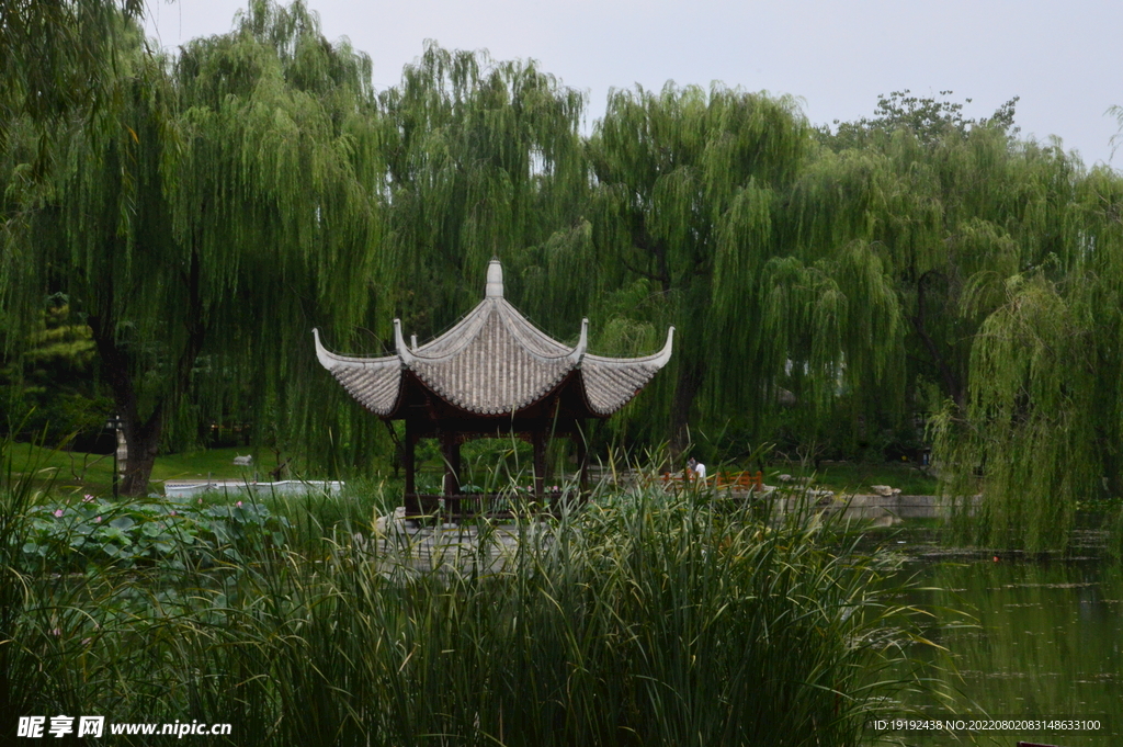 公园风景 
