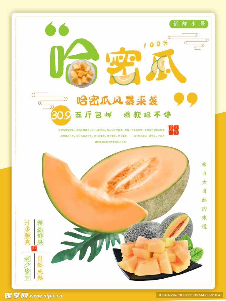 哈密瓜海报