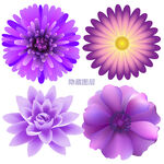 花朵素材