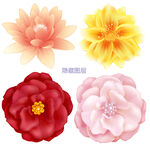 花朵素材