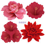 花朵素材