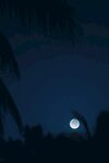 夜景