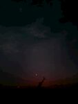 夜景