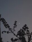 夜景