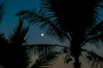 夜景