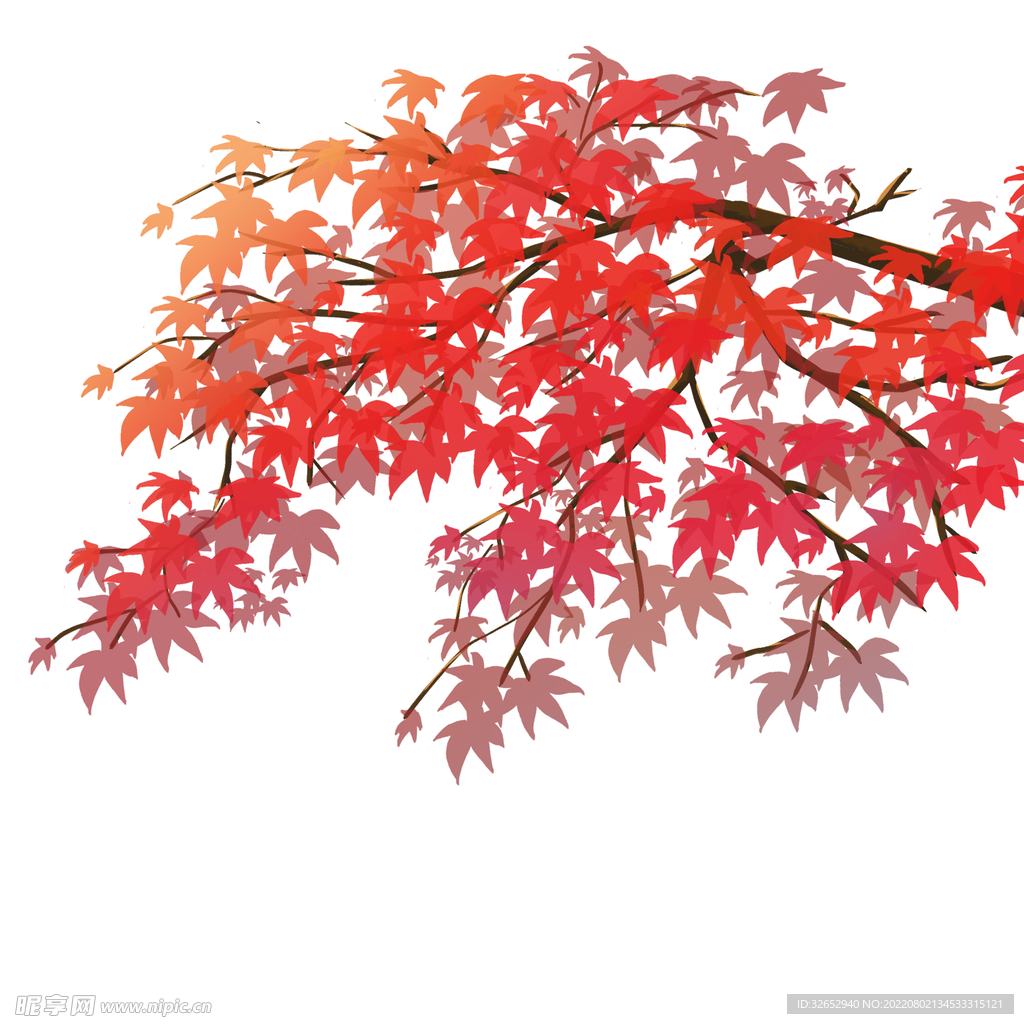 红枫树叶秋天元素