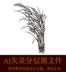 麦子稻穗小麦